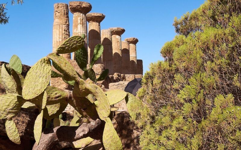 Giardini Italiani Famosi: Un Viaggio Tra Bellezza e Storia nelle Oasi Verdi d’Italia