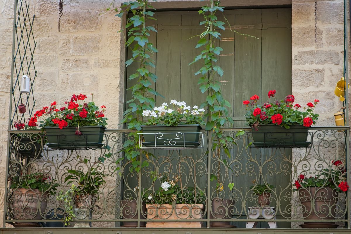 Giardino sul balcone - cura piante