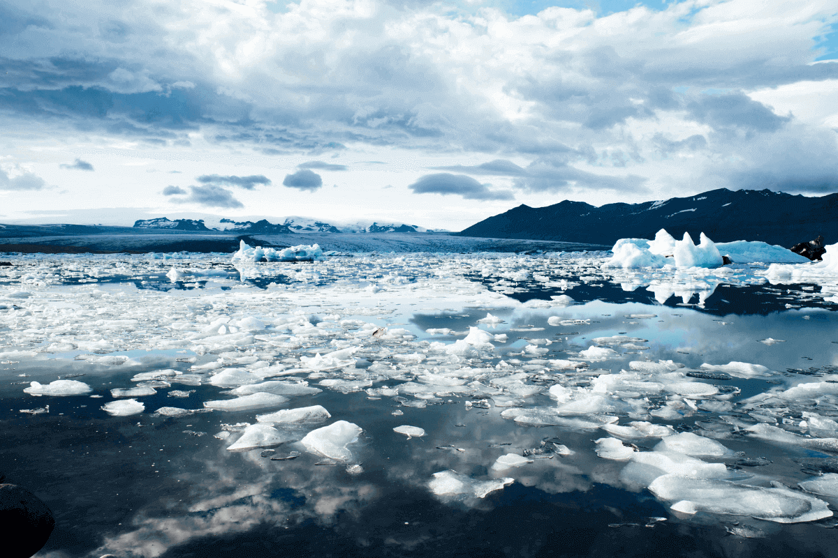 conferenza ONU sui cambiamenti climatici