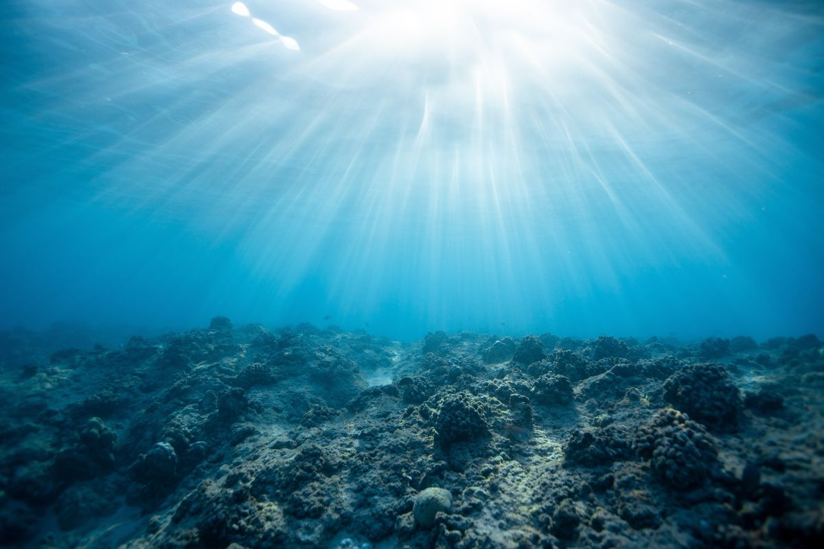 Giornata Mondiale degli Oceani