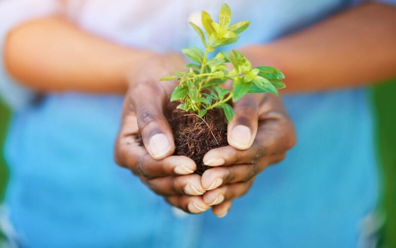 Giornata Mondiale dell’Ambiente: celebriamo e proteggiamo il Pianeta