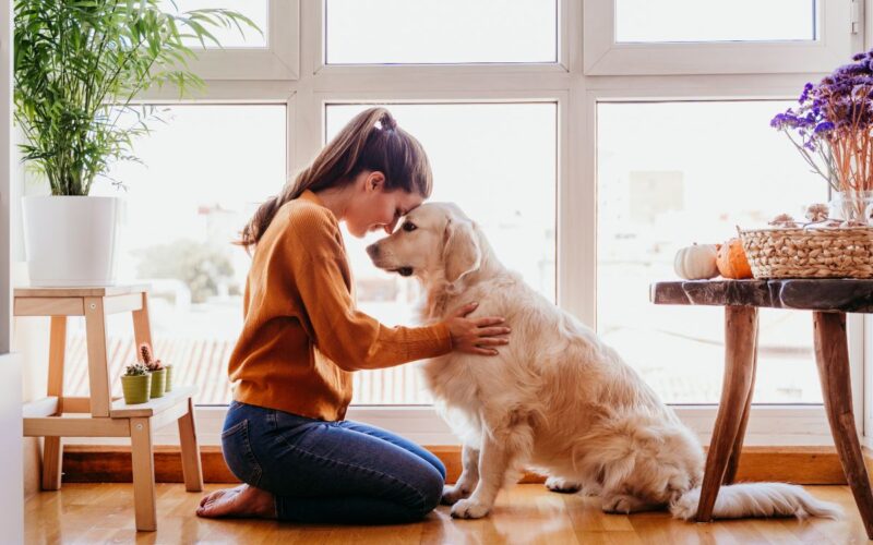 Giornata mondiale degli animali|Giornata mondiale degli animali|Giornata Mondiale degli Animali 2023