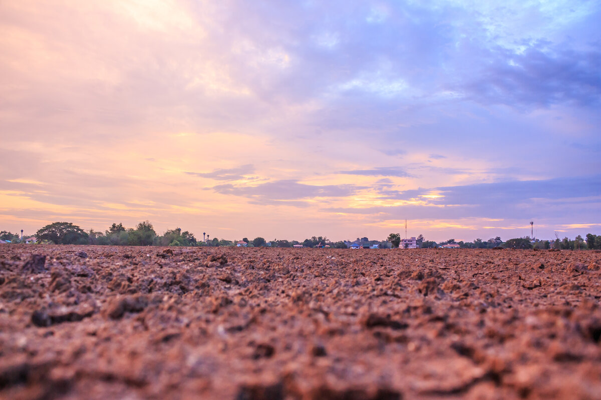 Giornata mondiale del suolo, ambiente, suolo, FAO