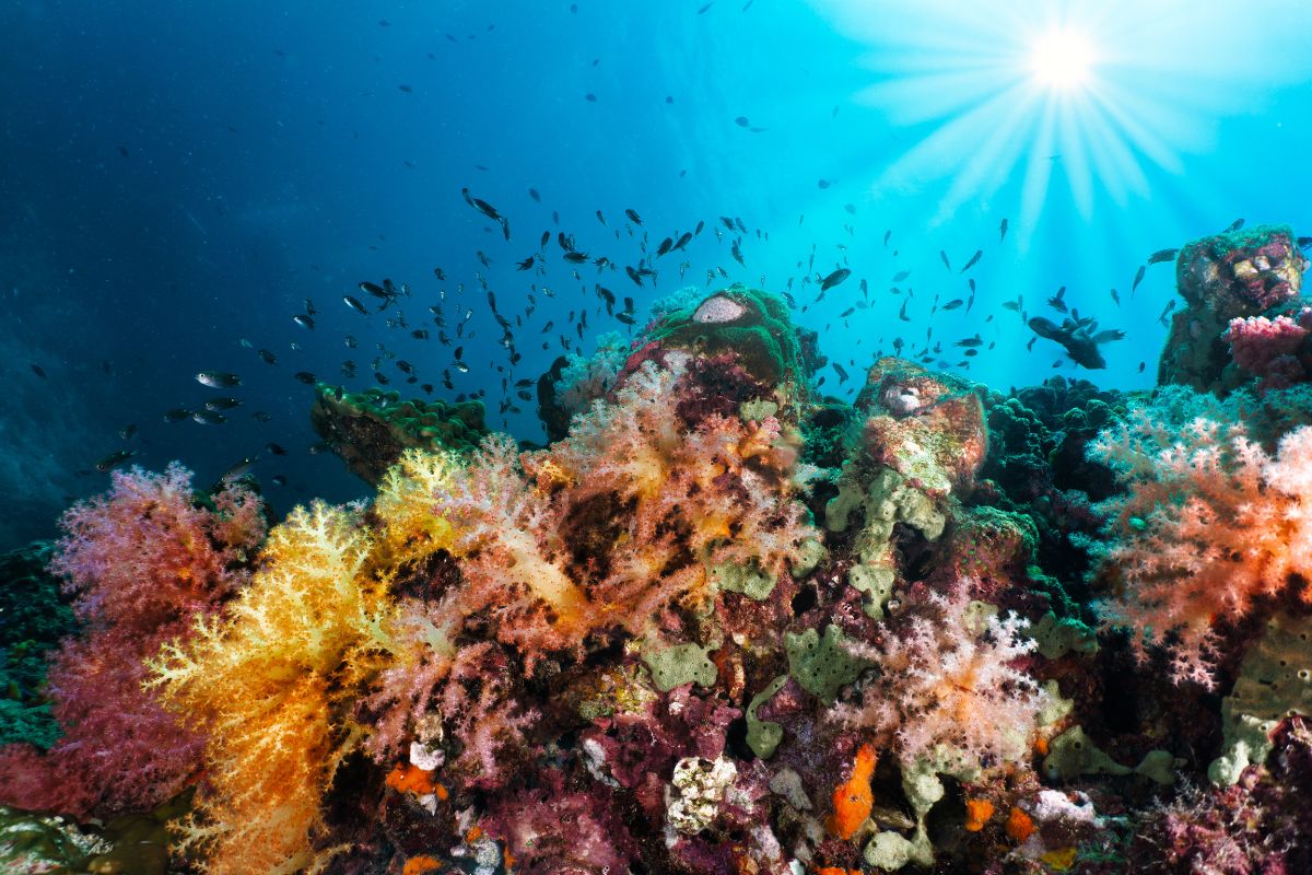 Giornata mondiale della Biodiversità