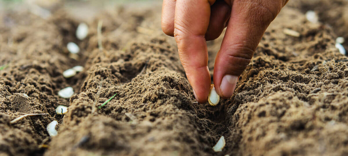 Gli italiani e l'ambiente - casa sostenibile|Gli italiani e l’ambiente - casa sostenibile