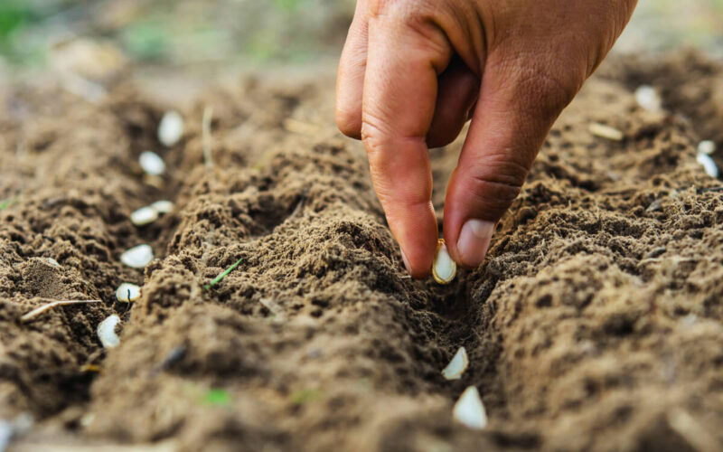 Gli italiani e l'ambiente - casa sostenibile|Gli italiani e l’ambiente - casa sostenibile