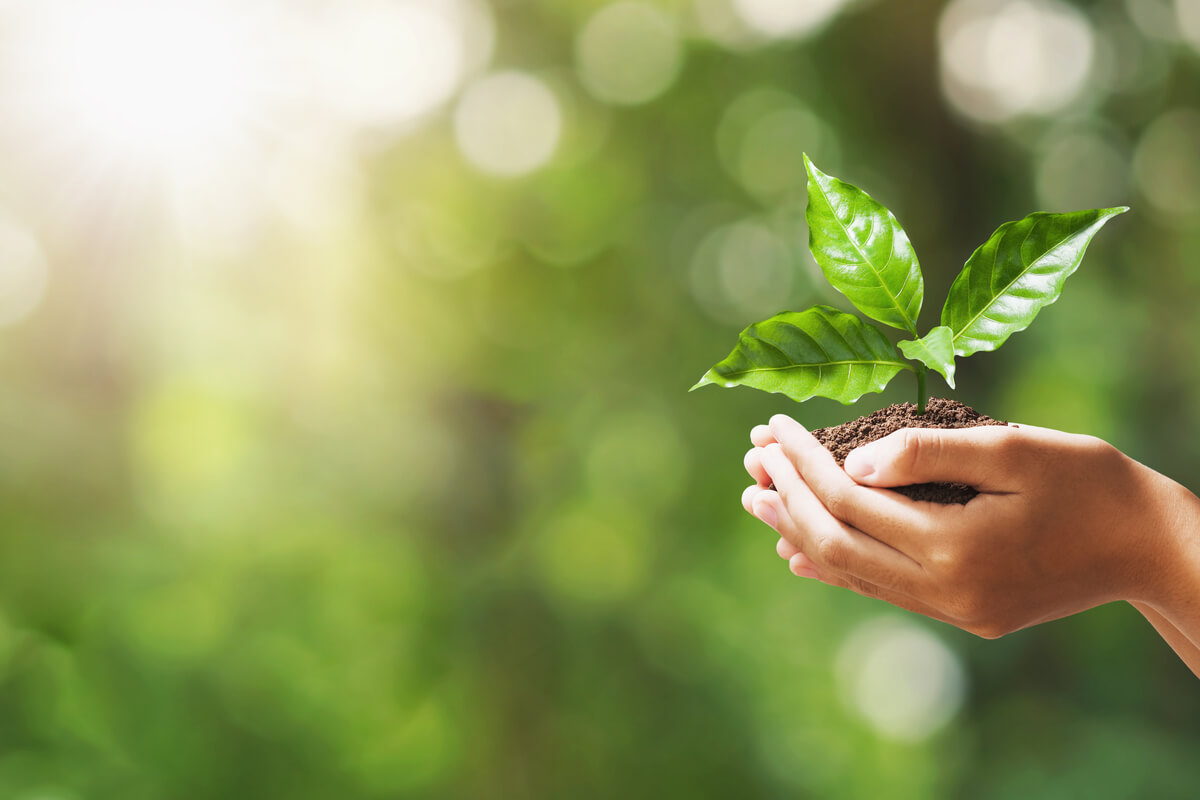 Gli italiani e l’ambiente - casa sostenibile