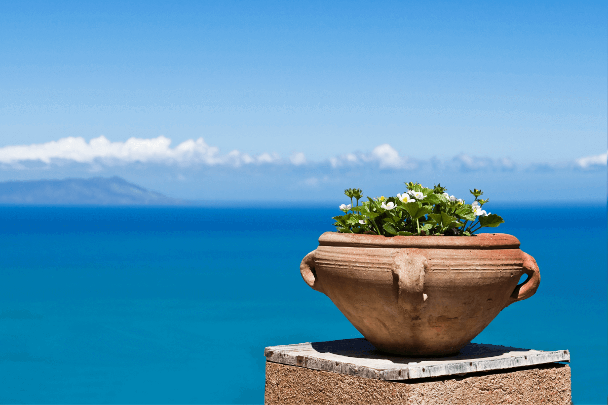 Festività natalizie in Italia al mare