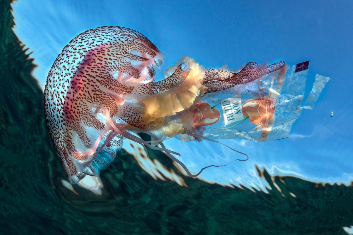 Guido Villani, Watersurface