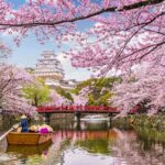 |Hanami l’antica tradizione di ammirare i fiori in primavera