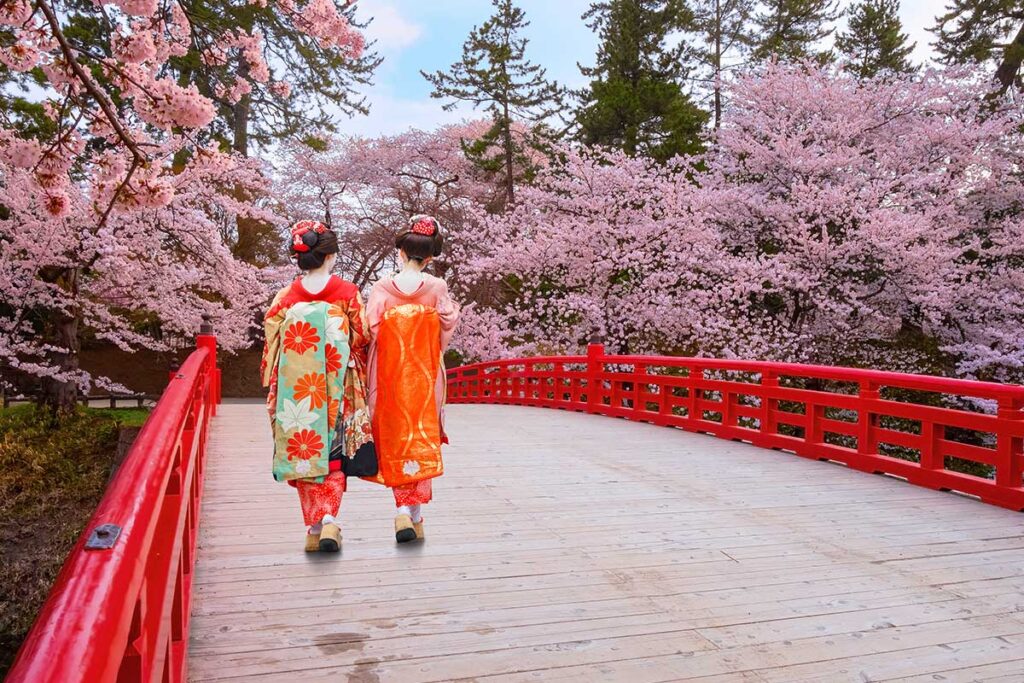 Hanami l’antica tradizione di ammirare i fiori in primavera