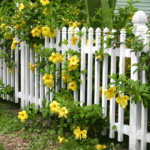 Quali sono le migliori recinzioni da giardino