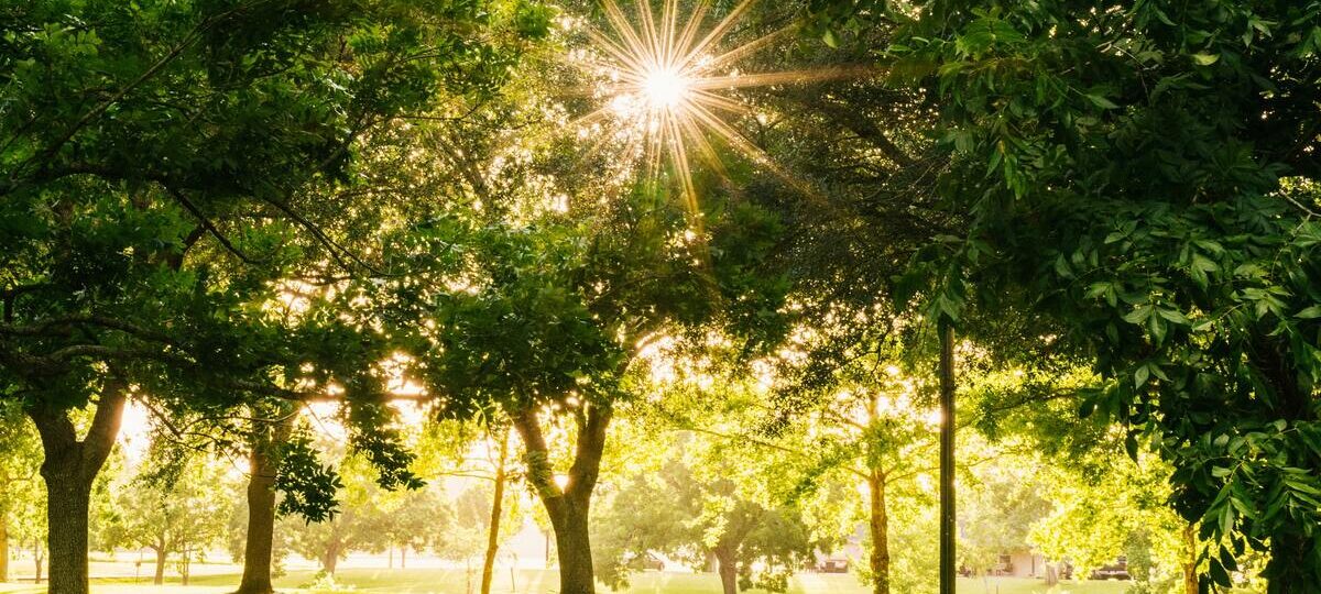 Il Parco più bello d’Italia