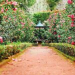 giardino di Marzo: cosa coltivare|giardino di Marzo interventi fai-da-te da fare in primavera