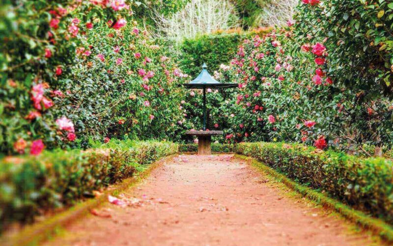 giardino di Marzo: cosa coltivare|giardino di Marzo interventi fai-da-te da fare in primavera