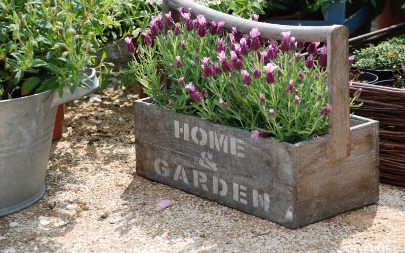 Healthy Garden, quando il giardino diventa salutare