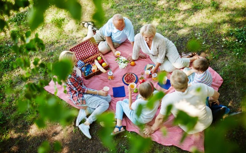 Celebrare l’International Picnic Day: divertimento, cibo e delizie all’aperto!