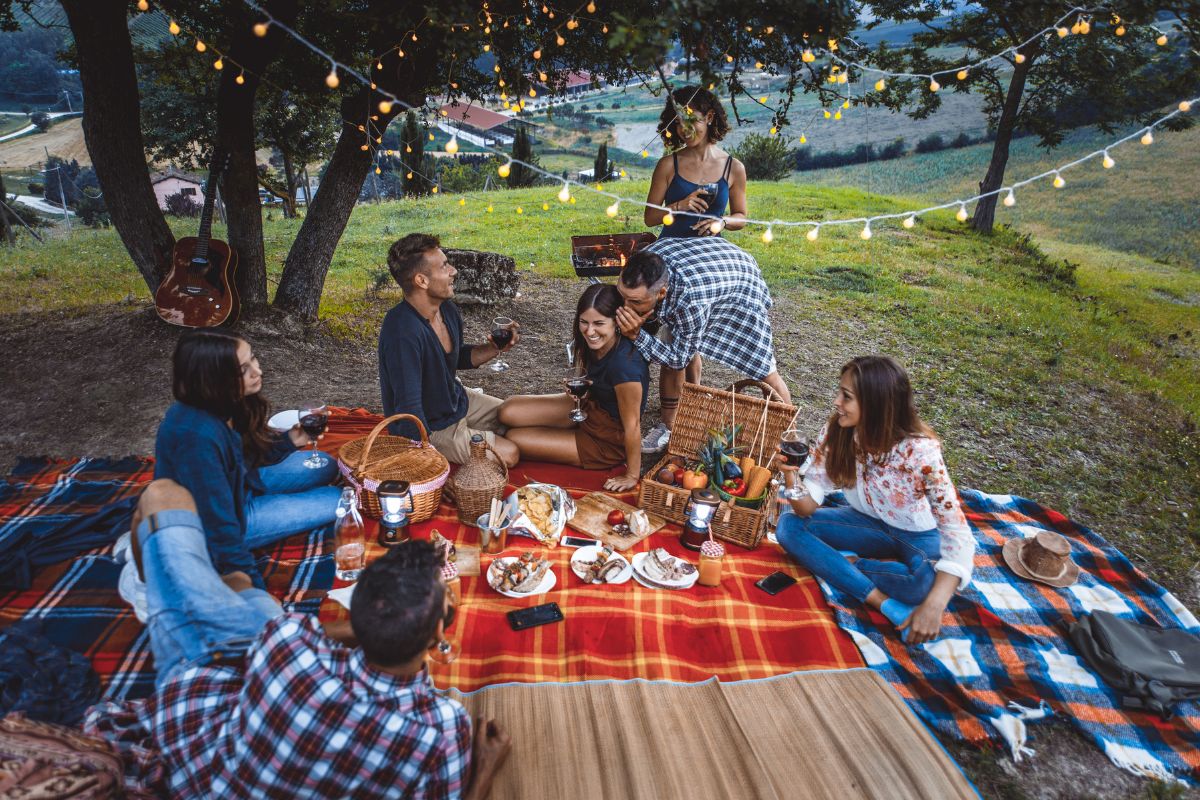 International Picnic Day 