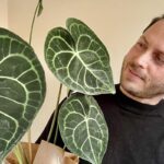 Intervista a Francesco Diliddo Coltivare il Balcone Fiorito tra Passione e Sostenibilità|Balcone Fiorito Gloriosa|Balcone Fiorito Giardino Sostenibile