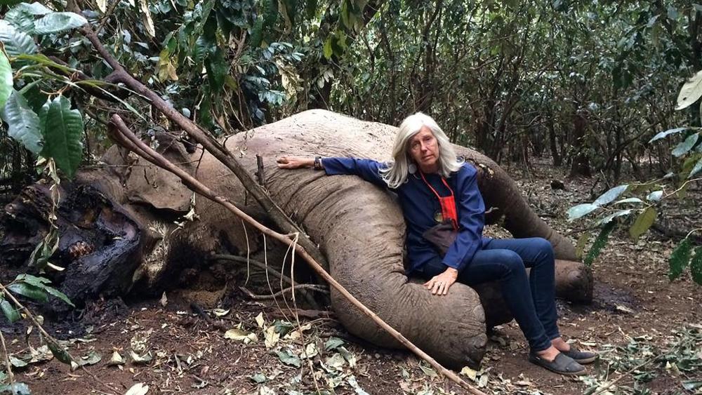 kuki gallmann contro bracconaggio