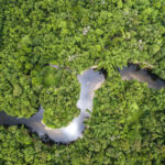 L’Amazzonia rischia di sparire - cause e conseguenze