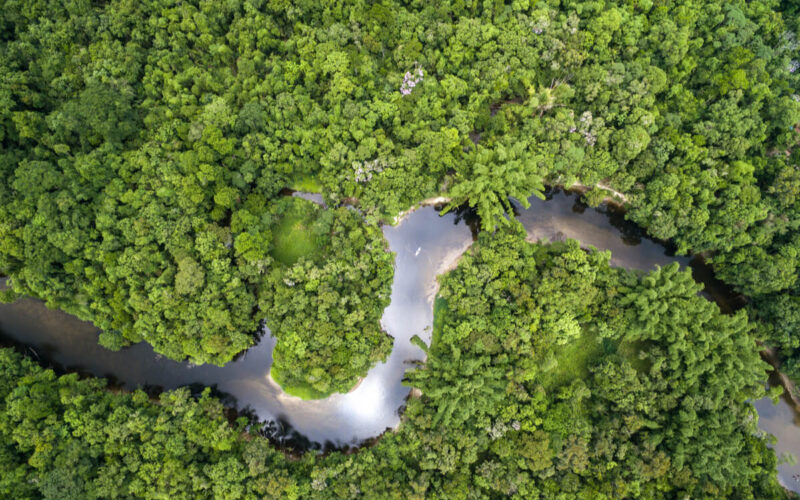 L’Amazzonia rischia di sparire entro il 2064