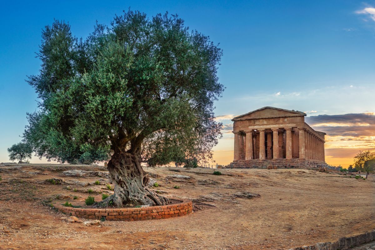 La Valle dei Templi Viaggio Sostenibile Primavera