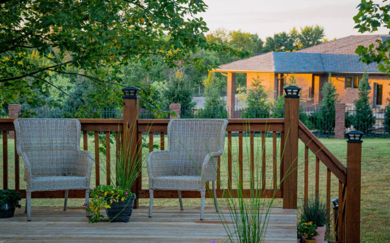 Alberi decorativi da giardino: tutti i consigli e le idee per il giardino in casa