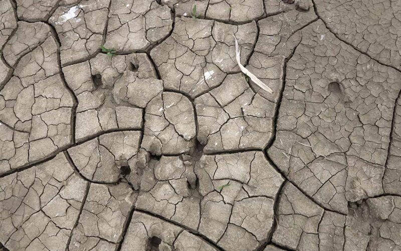 siccità in Italia|desertificazione|siccità in Italia|siccità in Italia|siccità in Italia