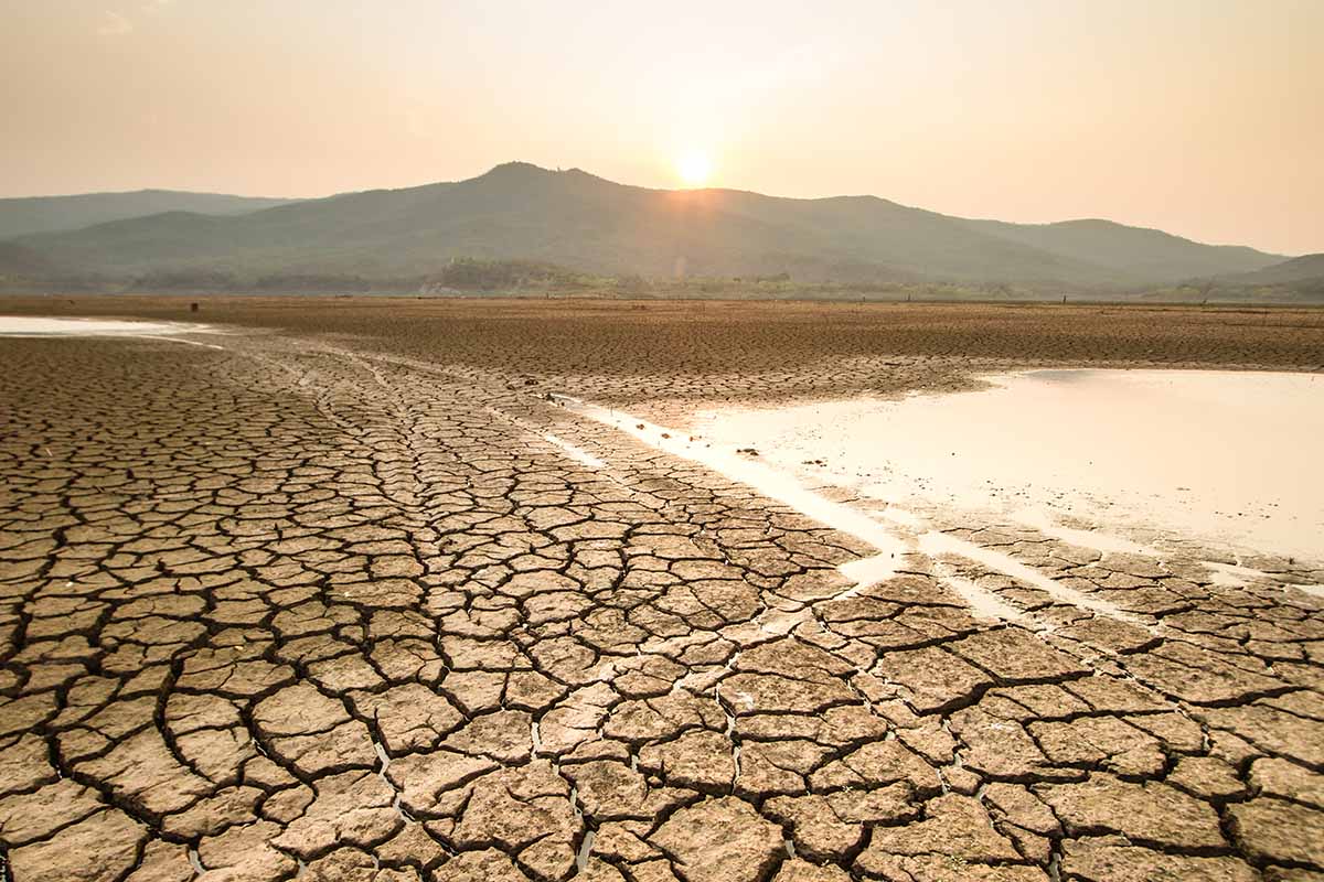 Le iniziative sostenibili nel mondo Warka Water, la torre che ricava acqua dall’aria per dissetare interi villaggi