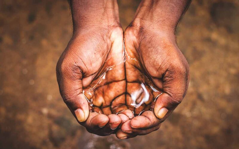 Le iniziative sostenibili nel mondo: Warka Water, la torre che ricava acqua dall’aria per dissetare interi villaggi