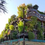 l’edificio foresta a Torino|Le iniziative sostenibili nel mondo condominio 25 Verde