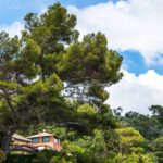 l’edificio foresta a Torino