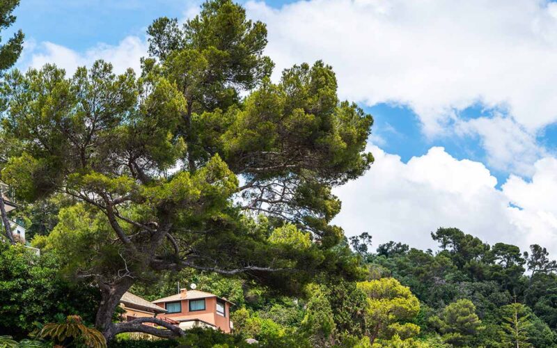 l’edificio foresta a Torino