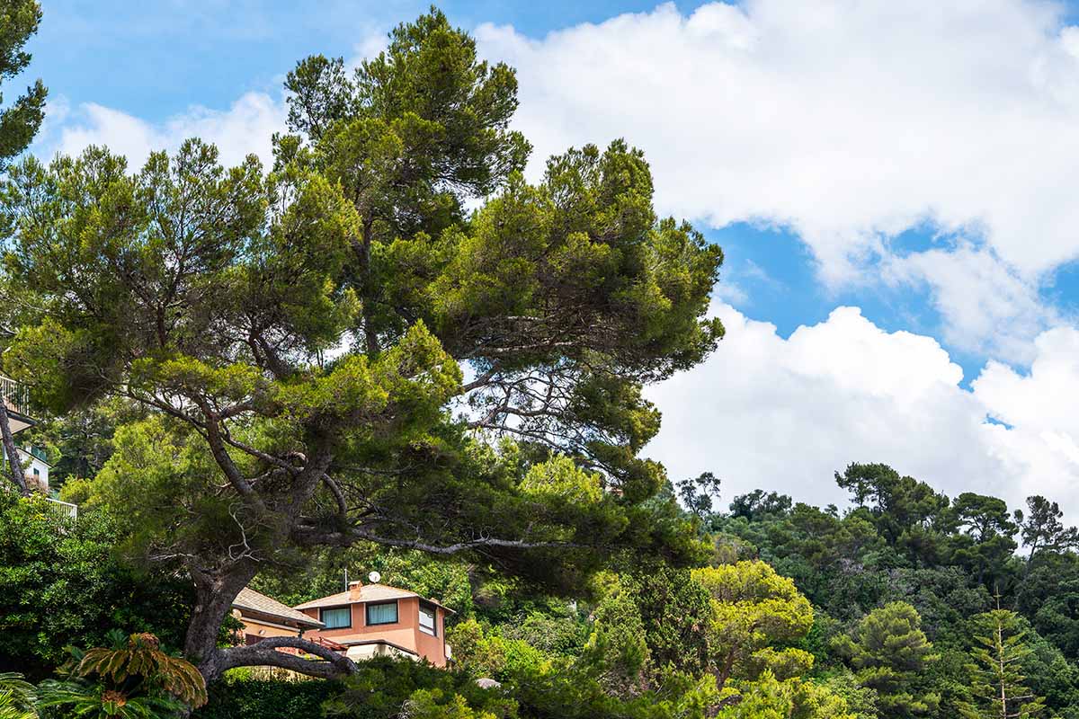 Le iniziative sostenibili nel mondo condominio 25 Verde, l’edificio foresta a Torino