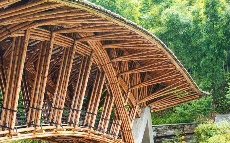 Le iniziative sostenibili nel mondo: l’architettura in bambù di Ibuku, tra innovazione ecologica e sperimentazione