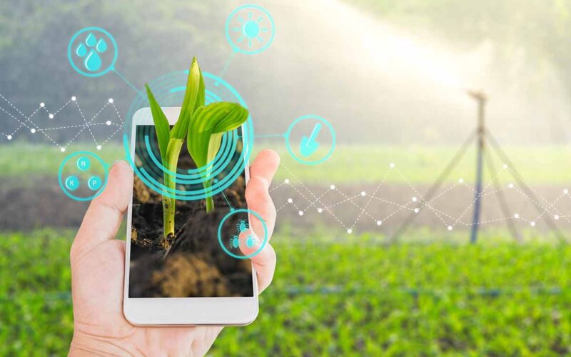 Le iniziative sostenibili nel mondo: le app che aiutano l’ambiente