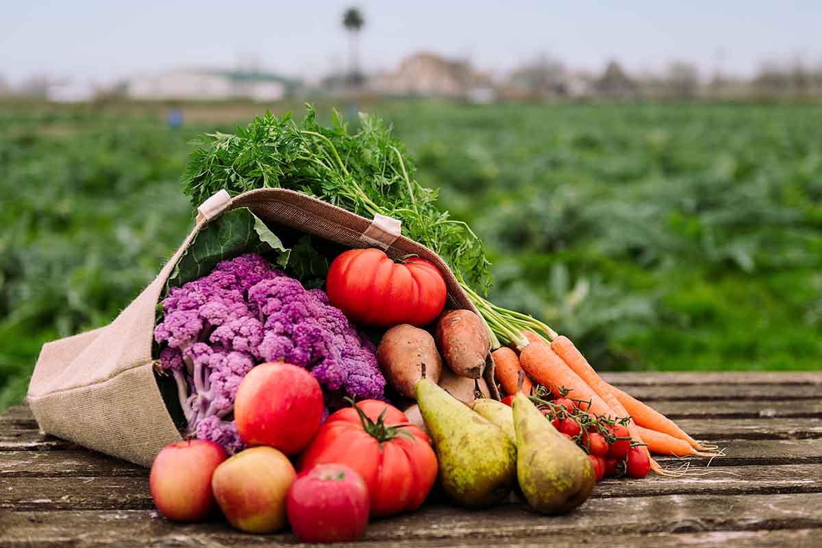 Le iniziative sostenibili nel mondo sostenibilità alimentare