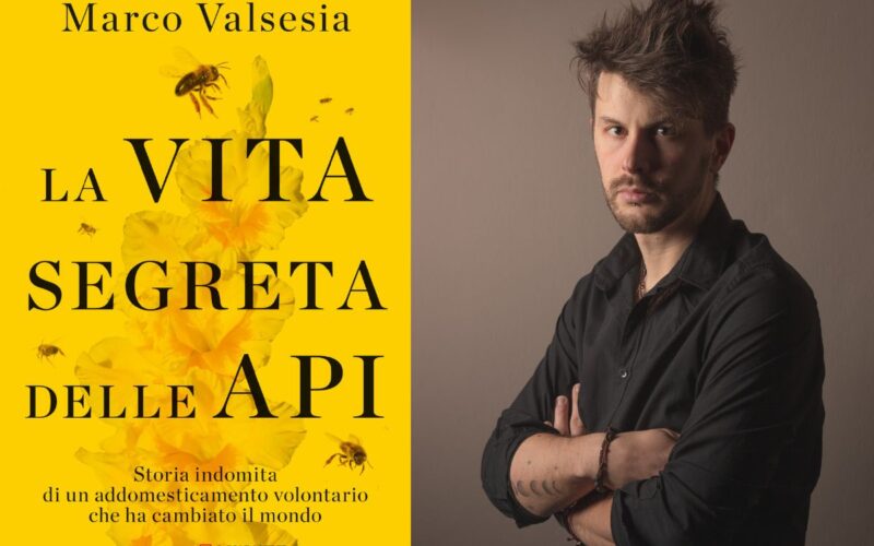 Intervista a Marco Valsesia, autore di “La vita segreta delle api”