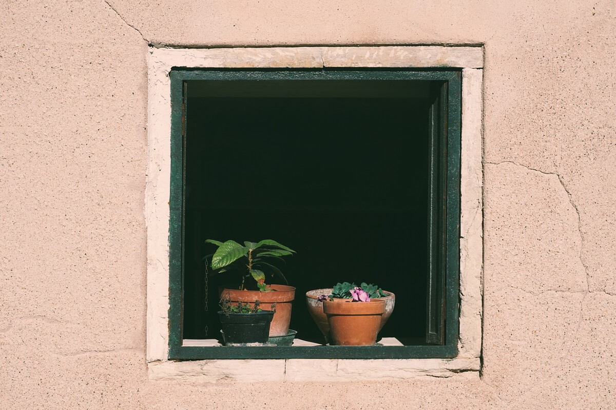 plant hotel 