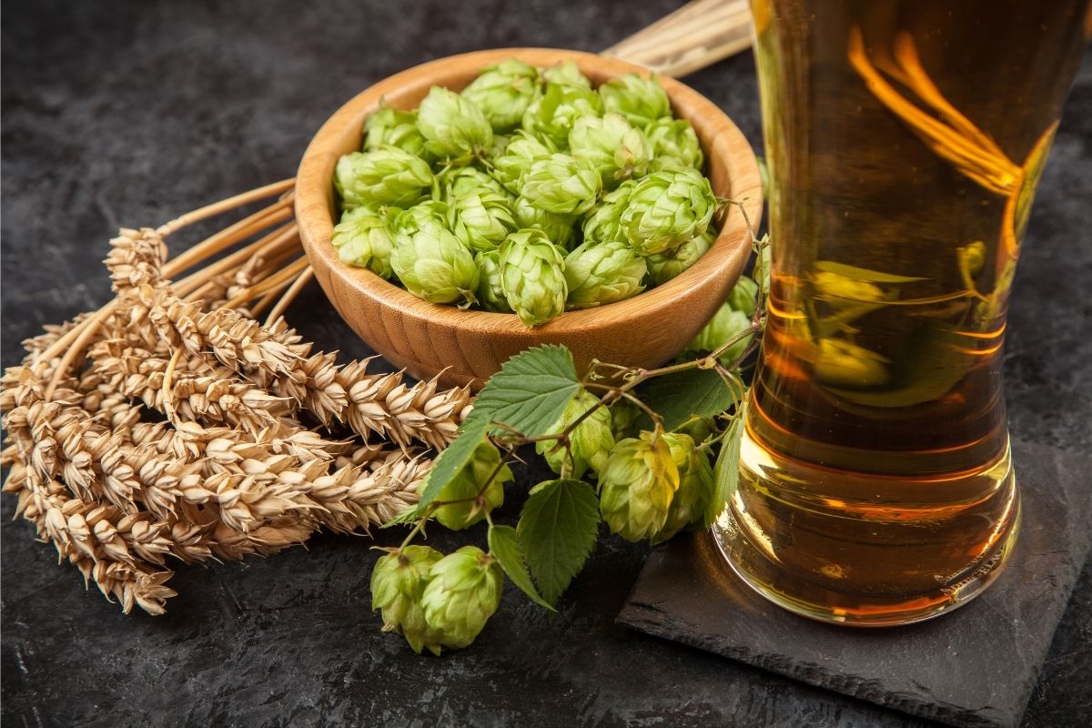 Oggi la birra nasce dal pane invenduto - Briciola