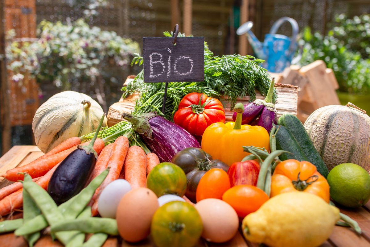 Orto biologico in casa