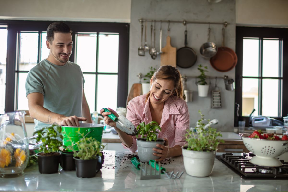 Orto biologico in casa