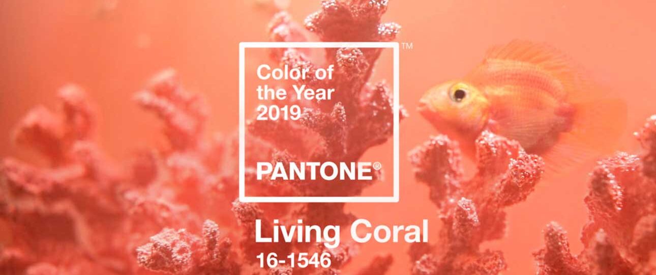 colore del anno 2019 Pantone|||