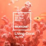 colore del anno 2019 Pantone|||