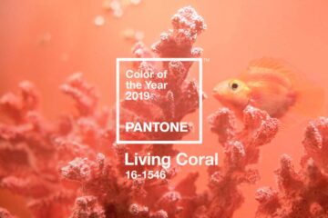 Living Coral è il colore del 2019 secondo Pantone