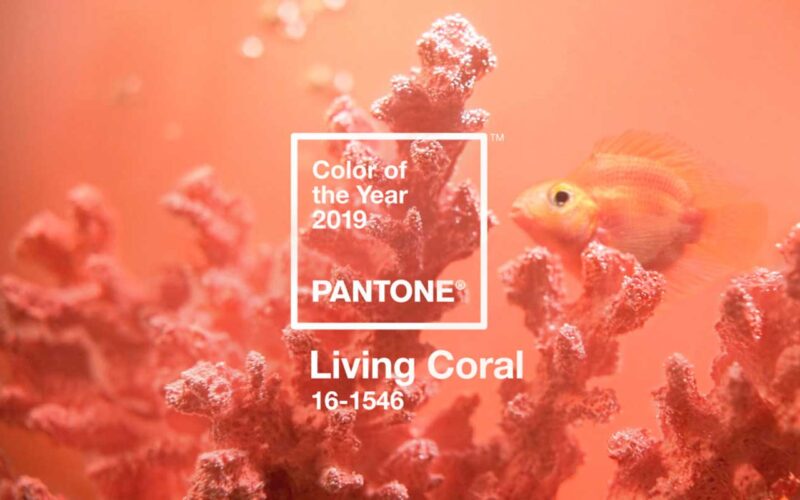 colore del anno 2019 Pantone|||