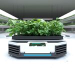 PIANTE ROBOT FUTURO DEL GIARDINO|Le Piante Robot sono in futuro del Giardino - Flora Robotica|Le Piante Robot sono in futuro del Giardino - Rowbot|Hortum machina B