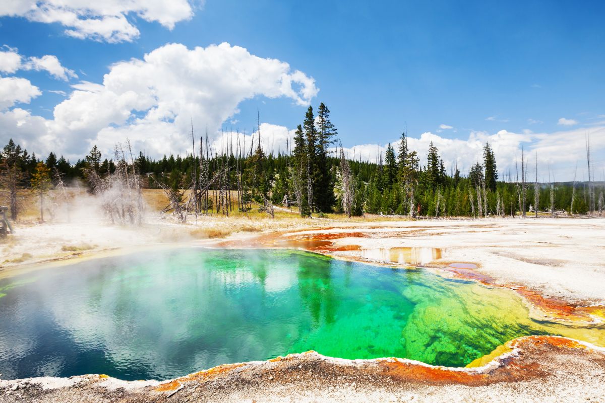 Parco Nazionale di Yellowstone