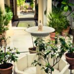 Patio o Corte definizione e differenze con pergolato e gazebo|Patio o Corte|Patio in un appartamento di lusso|pergolato significato|gazebo significato e normativa|Gazebo matrimonio